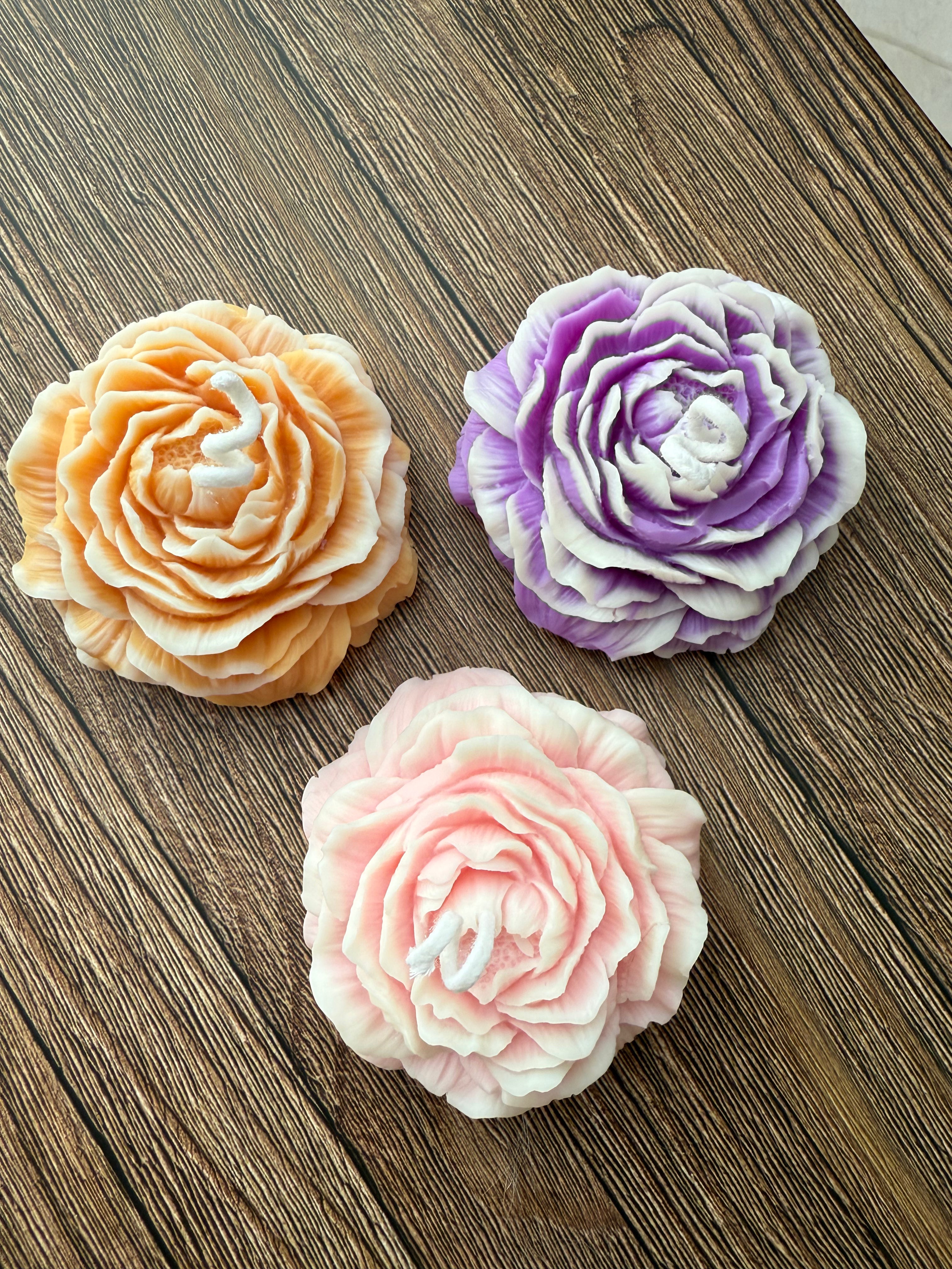 Pack peonias