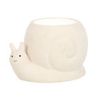 Happy Snail