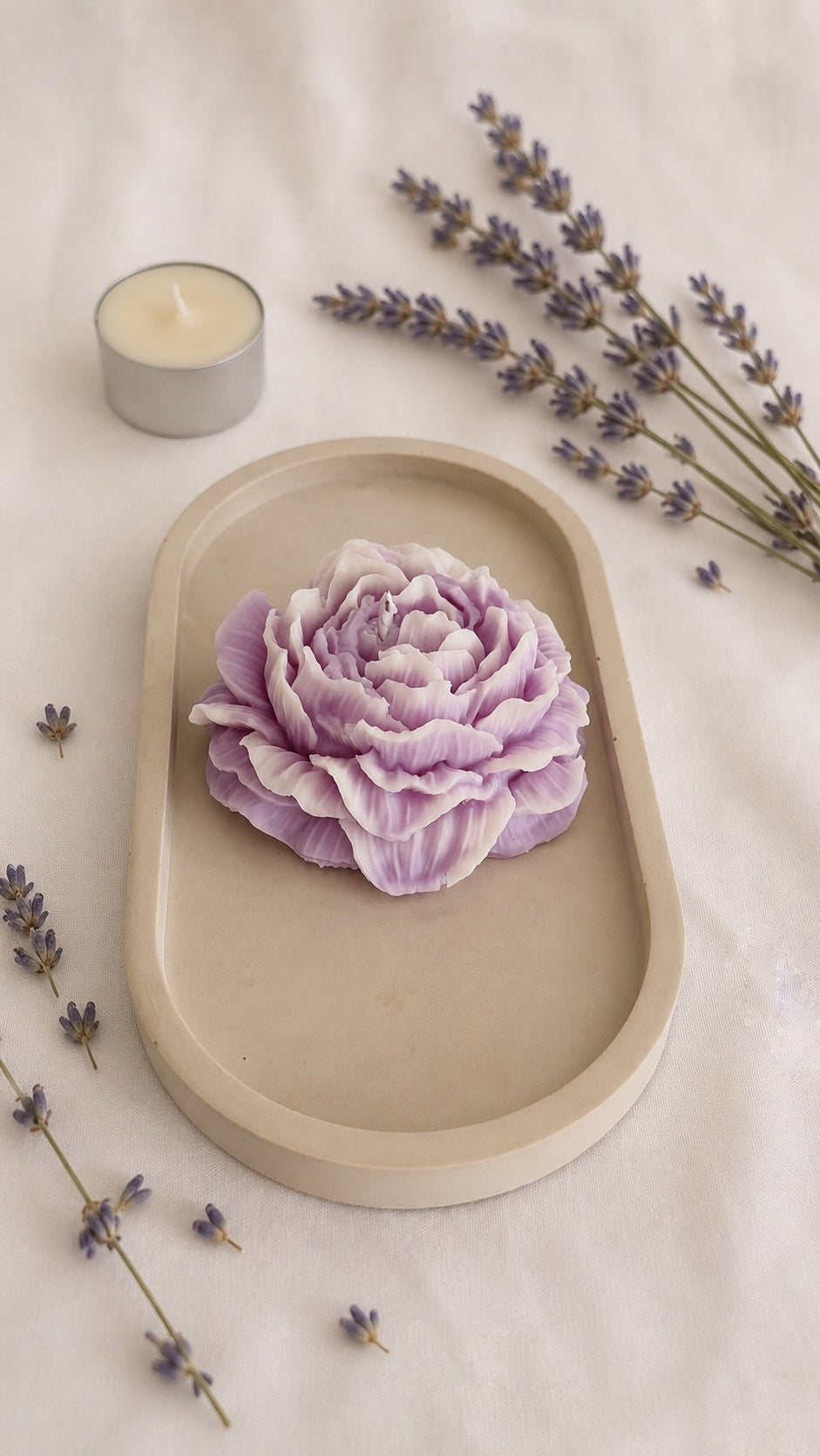 Peonia